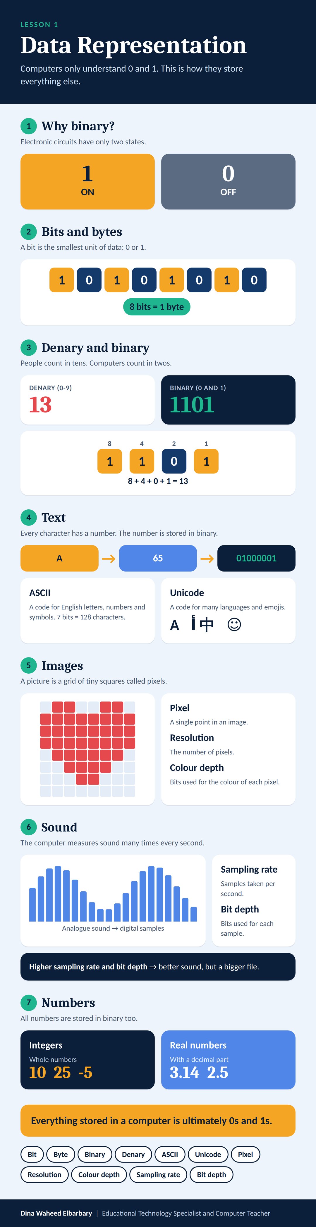Lesson 1 Infographic: Data Representation